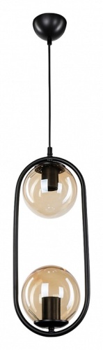 Подвесной светильник TopLight Kerrie TL1609H-02BK фото 2