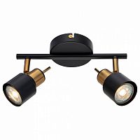 Спот Arte Lamp ALMACH A1906PL-2BK