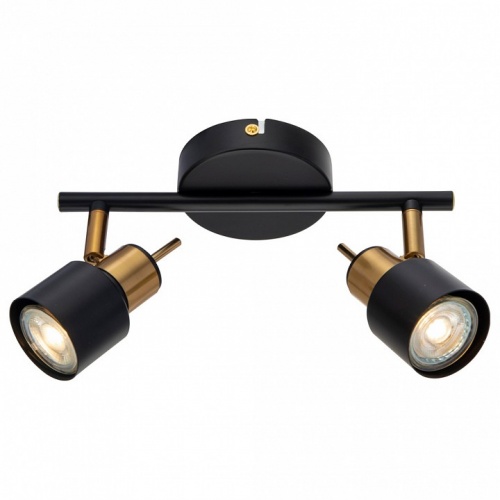 Спот Arte Lamp ALMACH A1906PL-2BK