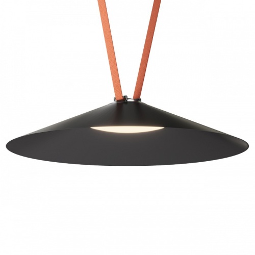Накладной светильник Denkirs Belty Flow DK5569-BK Накладной светильник Denkirs Belty Flow DK5569-BK