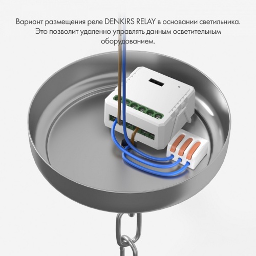 Конвертер Wi-Fi для смартфонов и планшетов Denkirs Relay RL1001-SM фото 2