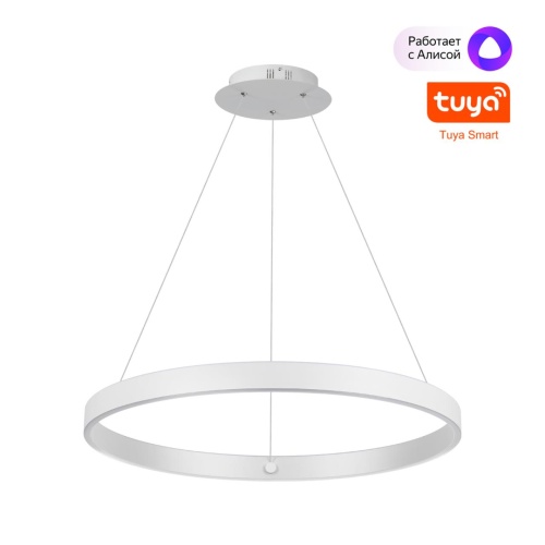 NOVOTECH 359449 OVER NT24 336 белый Светильник подвесной диммир. со сменой цв.темпер. (пульт ДУ/прилож. Smart Life) IP20 LED 50/12W 85-265V 3000-6000К SOTTO