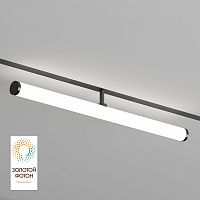 Светильник на штанге Denkirs SMART RAY DK8065-BK
