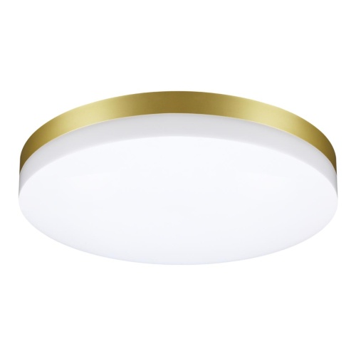 NOVOTECH 358892 STREET NT22 782 золото Светильник ландшафтный светодиодный IP54 LED 4000К 40W 220V OPAL