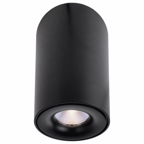 Накладной светильник Deko-Light Bengala LED 348030 Накладной светильник Deko-Light Bengala LED 348030