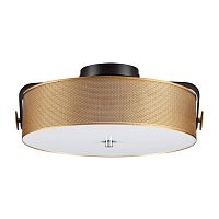 LUMION 6597/40L LEDIO LN25 000 черный, античная латунь, металл/стекло Потолочный светильник LED 40W 4000К 220V DRUMY