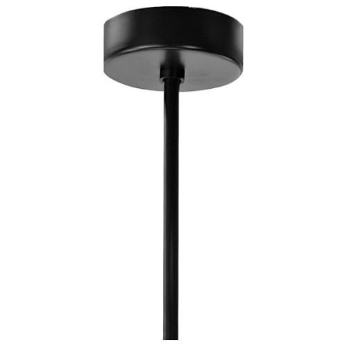 Люстра на штанге Lightstar Globo 813197 фото 4