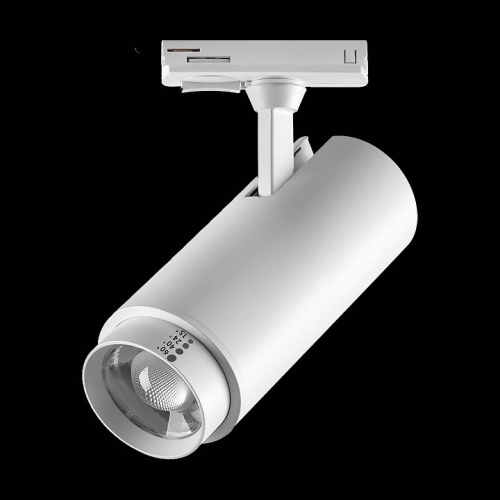 Светильник на штанге Lightstar Fuoco P+CCT 218026 фото 2 Светильник на штанге Lightstar Fuoco P+CCT 218026 фото 2
