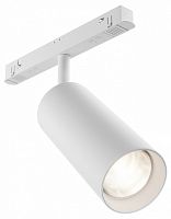 Светильник на штанге Maytoni Technical Focus LED TR032-4-20WTW-S-DD-W