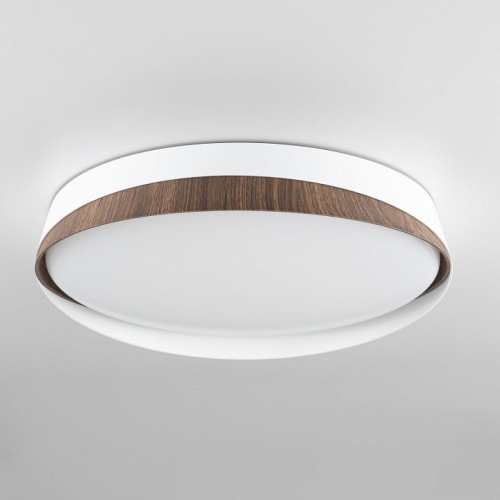 Накладной светильник Citilux BONNY CL754350G фото 7