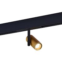 ST808.236.08 Магнитный трековый светильник Золотистый LED 1*8W 3000K 550Lm Ra>90 36° IP20 D42xH135 48VV
