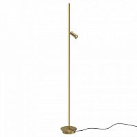 Торшер Maytoni Thin MOD395FL-L28BS3K