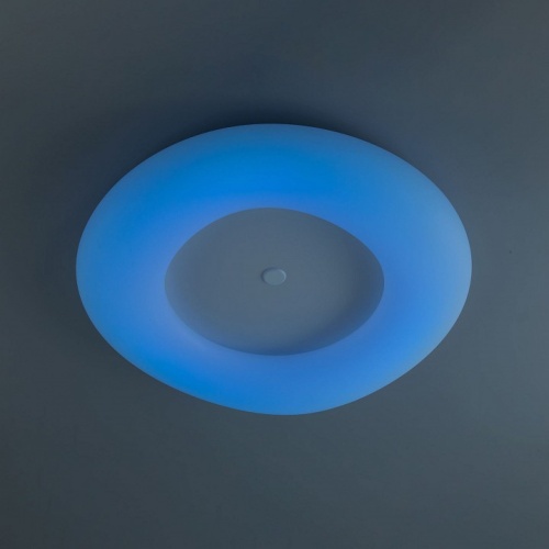 Накладной светильник Citilux Стратус Смарт CL732A800G фото 9 Накладной светильник Citilux Стратус Смарт CL732A800G фото 9