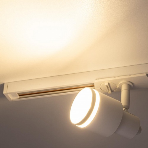 Светильник на штанге Citilux Bruno CL565T10 фото 8