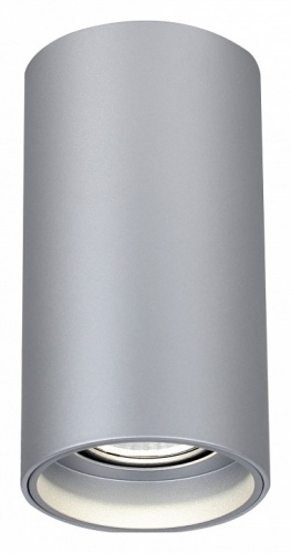 Накладной светильник Favourite Stirpe 2797-1U Накладной светильник Favourite Stirpe 2797-1U