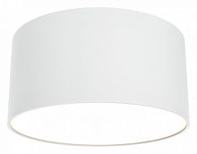 Накладной светильник Maytoni Technical Zon C032CL-12W3K-RD-W
