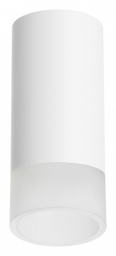 Накладной светильник Lightstar Rullo R43631 Накладной светильник Lightstar Rullo R43631