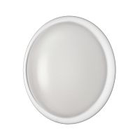 SONEX 7776/DLN PALE SN 110 Светильник пластик/белый LED 48Вт 3000/4000/6000К D400 IP43 CCT JOLLY