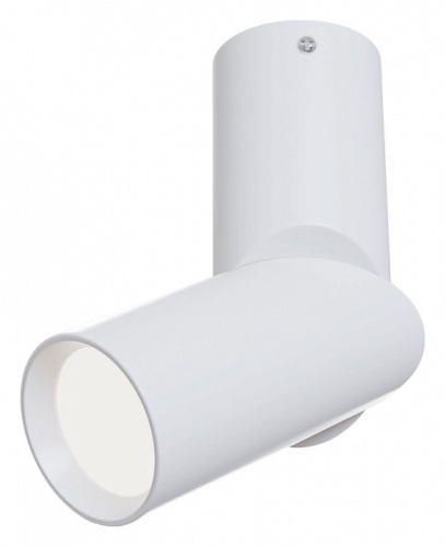 Спот Maytoni Technical Dafne C027CL-L10W фото 2 Спот Maytoni Technical Dafne C027CL-L10W фото 2