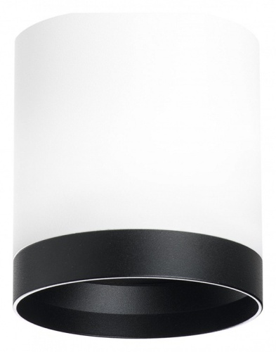 Накладной светильник Lightstar Rullo R34863487 Накладной светильник Lightstar Rullo R34863487