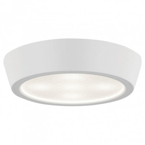Накладной светильник Lightstar Urbano 214904 Накладной светильник Lightstar Urbano 214904