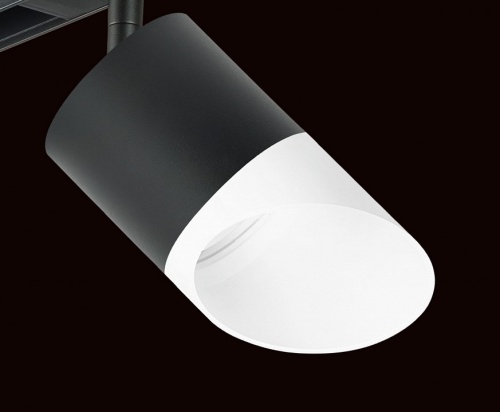 Светильник на штанге Lightstar Rullo PRO348786 фото 4 Светильник на штанге Lightstar Rullo PRO348786 фото 4