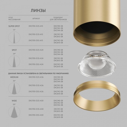 Накладной светильник Denkirs SHINE TUBE DK2610-SB фото 5 Накладной светильник Denkirs SHINE TUBE DK2610-SB фото 5