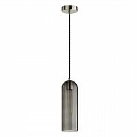 ODEON LIGHT 4805/1 PENDANT ODL21 407 никель/дымчатый Подвес E27 1*60W VOSTI