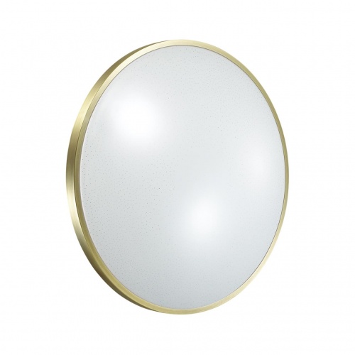 2089/CL PALE SN 079 Светильник пластик/белый/бронза LED 30Вт 4000К D340 IP43 LOTA BRONZE 2089/CL PALE SN 079 Светильник пластик/белый/бронза LED 30Вт 4000К D340 IP43 LOTA BRONZE