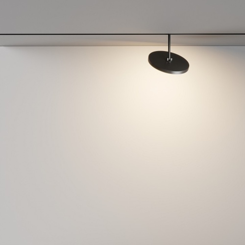Светильник на штанге Maytoni Technical Plato TR131-2-15W3K-B фото 4 Светильник на штанге Maytoni Technical Plato TR131-2-15W3K-B фото 4
