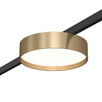 ST670.346.12 Магнитный трековый светильник Латунь LED 1*12W 4000K 500Lm Ra>80 100° IP20 D113xH34 24V