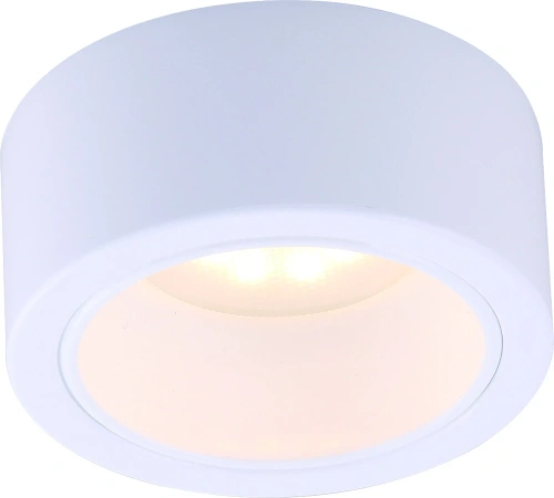 Точечный накладной светильник Arte Lamp EFFETTO A5553PL-1WH Точечный накладной светильник Arte Lamp EFFETTO A5553PL-1WH
