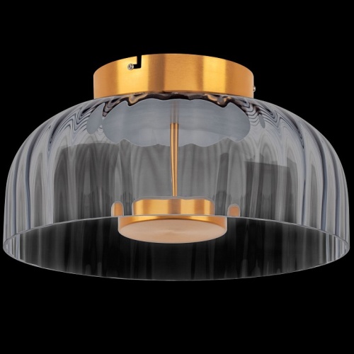 Накладной светильник Lightstar Celesta 809061 фото 2 Накладной светильник Lightstar Celesta 809061 фото 2