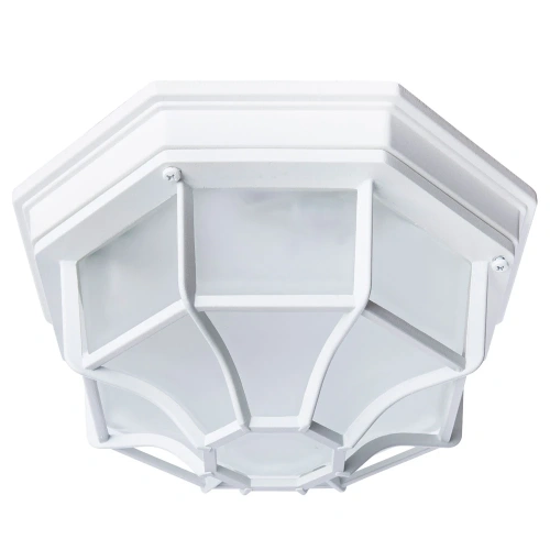 Уличный потолочный светильник Arte Lamp PEGASUS A3100PL-1WH Уличный потолочный светильник Arte Lamp PEGASUS A3100PL-1WH
