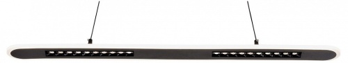 Подвесной светильник F-promo Strimler 4473-2P