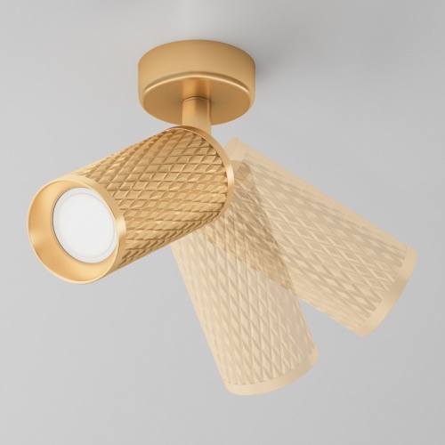 Спот Maytoni Technical Focus Design C034CL-01G фото 4