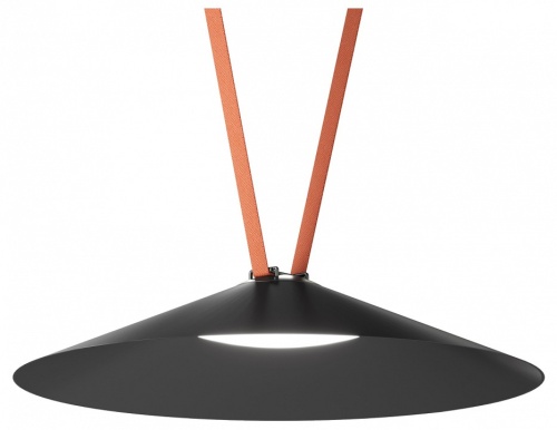 Накладной светильник Denkirs Belty Flow DK5568-BK Накладной светильник Denkirs Belty Flow DK5568-BK