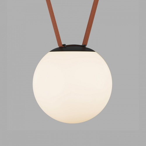 Накладной светильник Denkirs BELTY ORB DK5553-BK фото 2