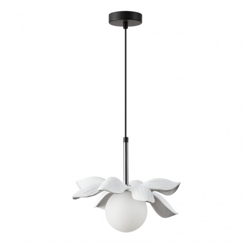 LUMION 5616/1 SUSPENTIONI LN23 000 черный, белый Подвес G9 1*40W 220V TANZANIA LUMION 5616/1 SUSPENTIONI LN23 000 черный, белый Подвес G9 1*40W 220V TANZANIA