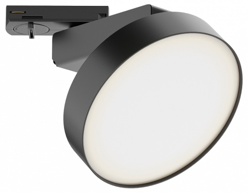 Светильник на штанге Maytoni Technical Zon TR043-1-12W3K-B фото 2