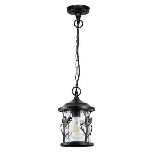 4963/1 NATURE ODL22 639 черный/стекло Ландшафтный подвес E27 1*60W IP44 CUITA 4963/1 NATURE ODL22 639 черный/стекло Ландшафтный подвес E27 1*60W IP44 CUITA