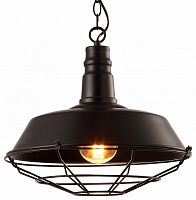 Подвесной светильник Arte Lamp PANDORA A9183SP-1BK