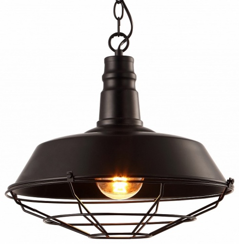 Подвесной светильник Arte Lamp PANDORA A9183SP-1BK