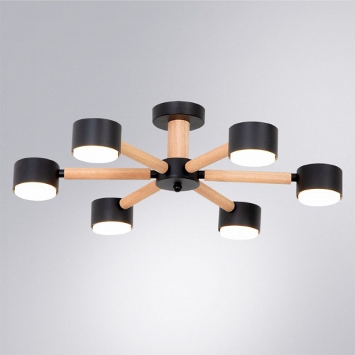 Потолочная люстра Arte Lamp TENDA A1624PL-6BK фото 2