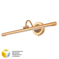Подсветка для картин Arte Lamp CHIANTI A8046AP-1PB