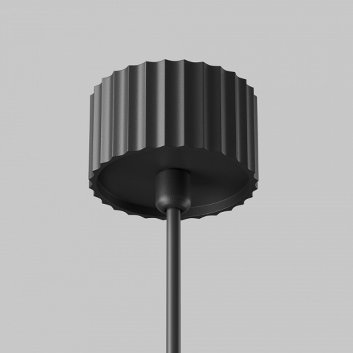 Подвесной светильник Maytoni Technical Calipso P106PL-01-GU10-B фото 10 Подвесной светильник Maytoni Technical Calipso P106PL-01-GU10-B фото 10