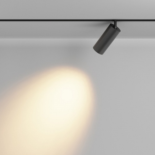Светильник на штанге Maytoni Technical Focus LED TR032-2-20W2.7K-M-B фото 5