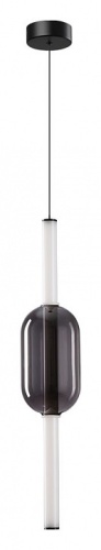 Подвесной светильник Arte Lamp Rigla A6837SP-12SM фото 2