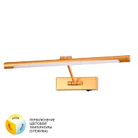 Подсветка для картин Arte Lamp HARRISON A1709AP-1GO