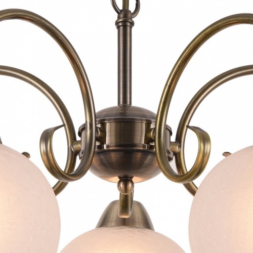 Подвесная люстра Arte Lamp MARGO A9317LM-5AB фото 4 Подвесная люстра Arte Lamp MARGO A9317LM-5AB фото 4